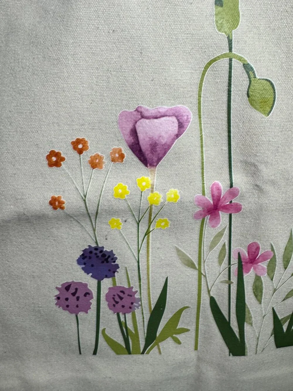 NEW Tote Bag Canvas Botanical Art